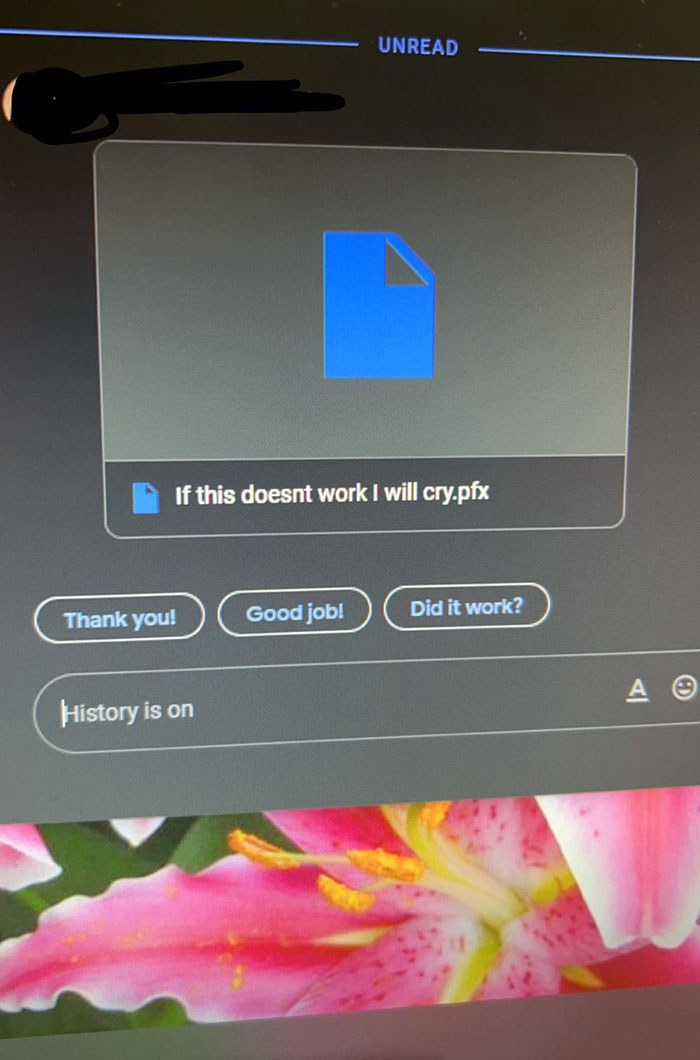 The File Name Of The Certificate Our IT Guy Sent While Troubleshooting My VPN Issues
