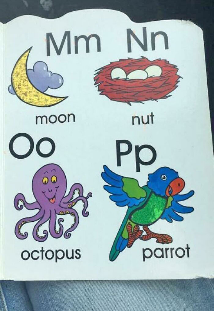 From My Niece's Kid's Book. So Nuts Or Nest Or Eggs?