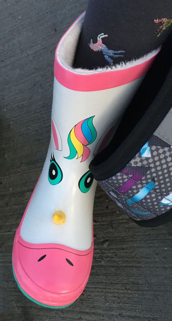 Why Is The Horn There?