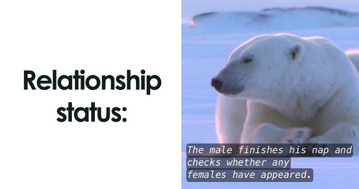 50 Funny Instagram Memes That Might Make You Chuckle