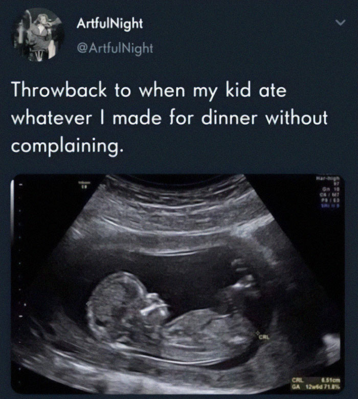 Is It Acceptable To Just Throw My Hands Up And Say "Pizza Every Night" Because This Whole Cooking And Them Not Eating Thing Is Stressful Lol