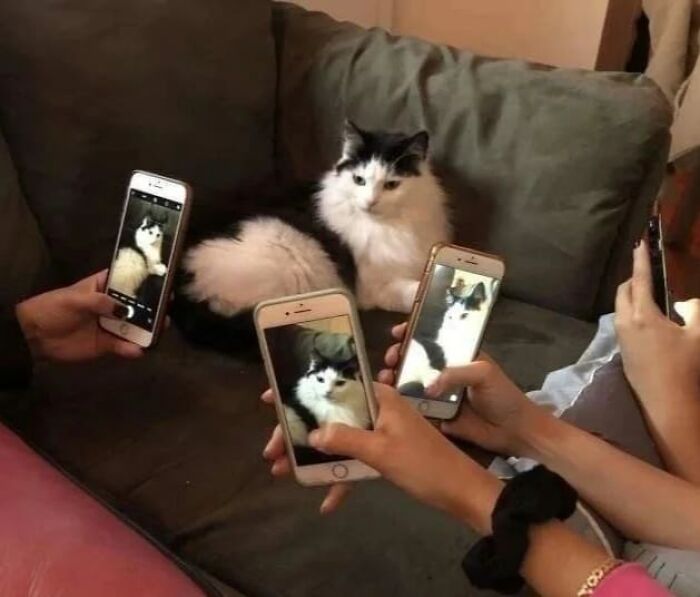 Funny-Pics-Humans-Doing-Human-Things