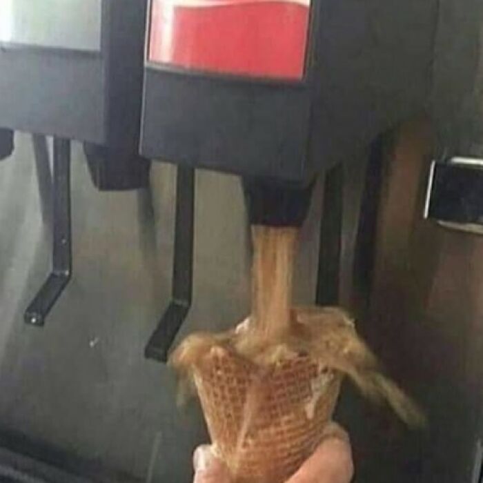 Funny-Pics-Humans-Doing-Human-Things