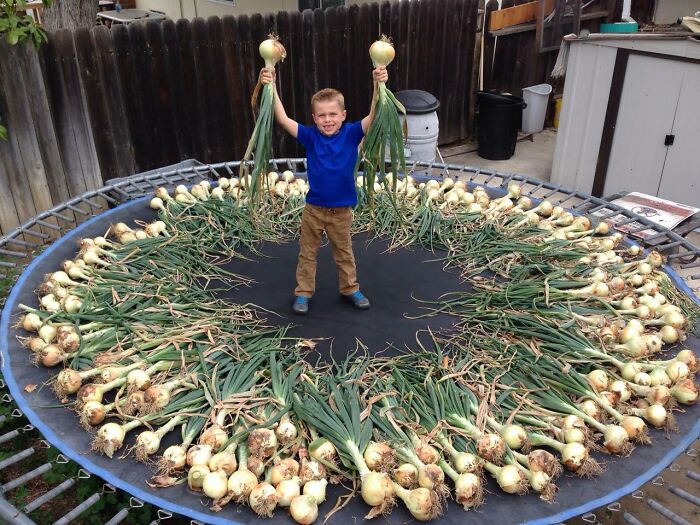 Funny-Pics-Humans-Doing-Human-Things