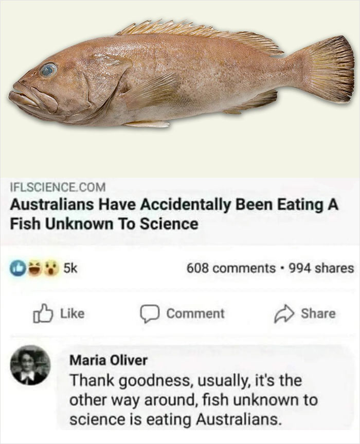 Photo of an unknown fish with a humorous comment about science memes uniting brains and chuckles shared online.