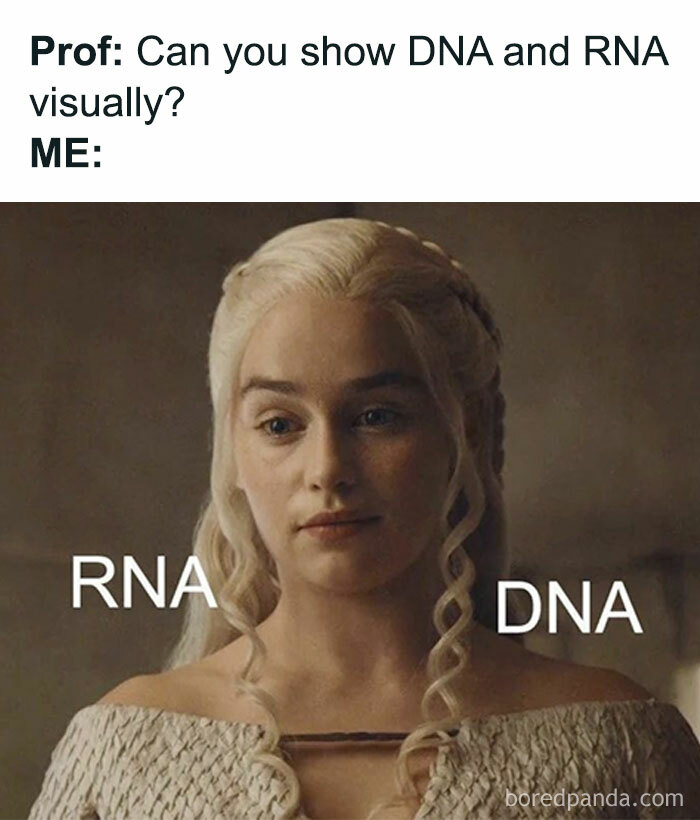 Woman with braided blonde hair humorously represents RNA and DNA in a science meme uniting brains with chuckles.