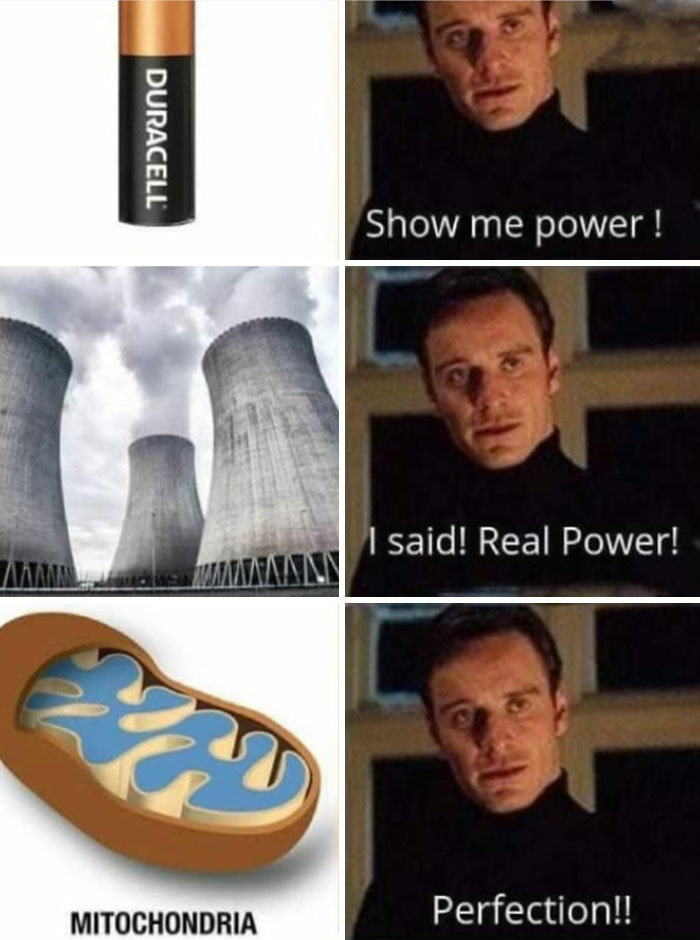 Meme showing Duracell battery, nuclear power plant, and mitochondria as real power, connecting science memes with humor.
