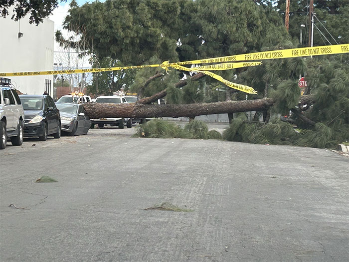 La naturaleza ha decidido que tu coche sea descapotable