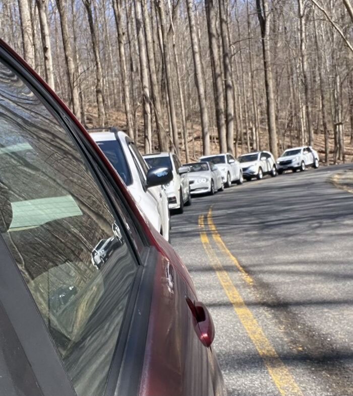 All White Cars Behind Me