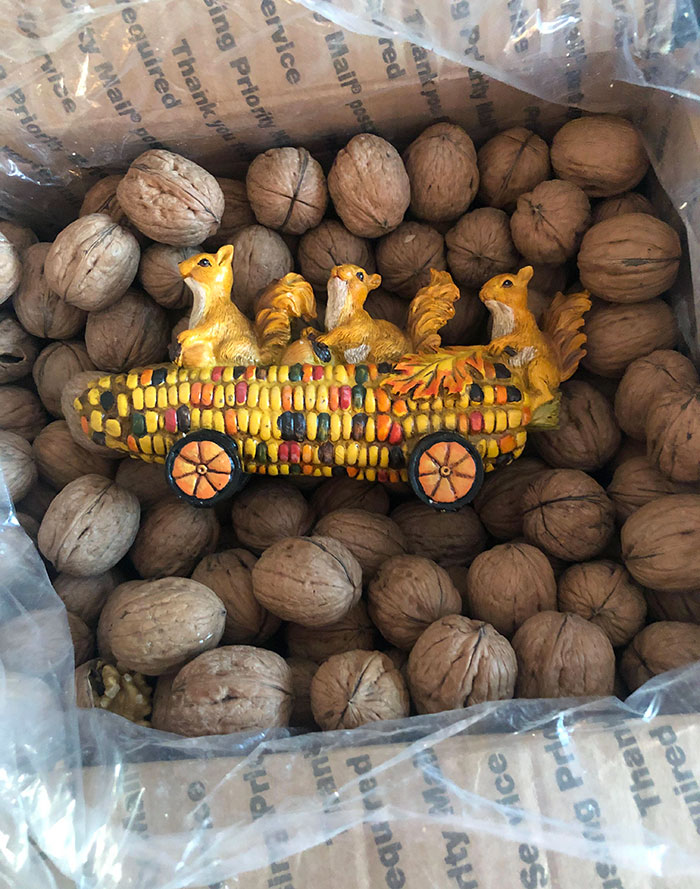 My Dad Drove 41 Miles To Buy This And Then Shipped It With 5 Pounds Of Nuts. Never Stop Being Silly With Your Kids, Even When They're Grown