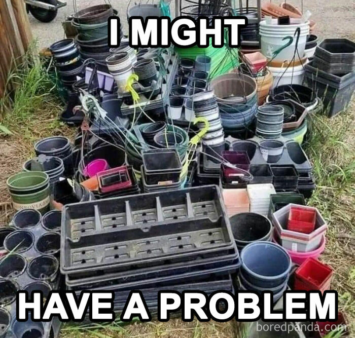 A humorous meme showing a large collection of plant pots with the text "I might have a problem."