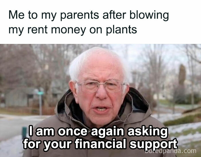 A man in a coat humorously asking for financial support after buying plants instead of paying rent.