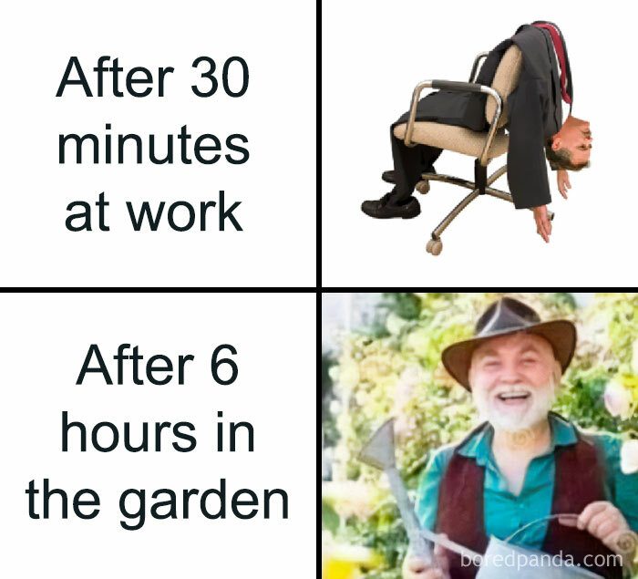 Meme showing different energy levels at work versus gardening for plant lovers.