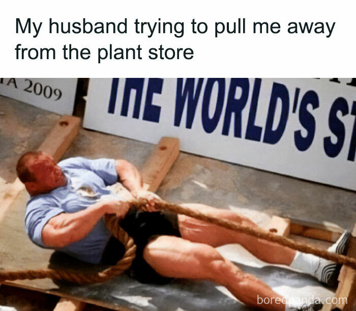 Gardening-Humour-Memes