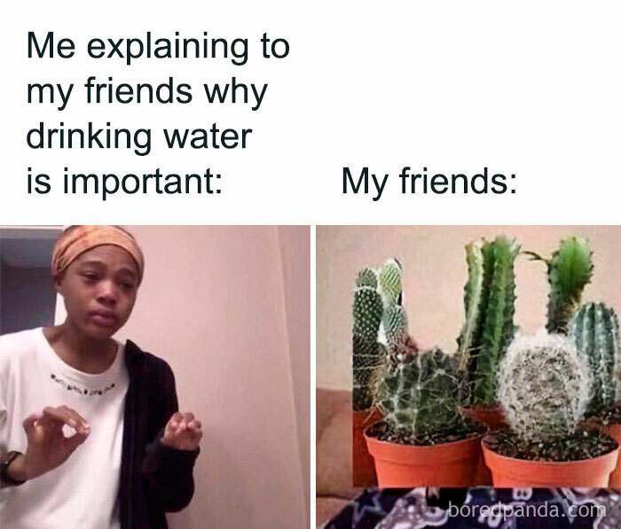 Gardening-Humour-Memes