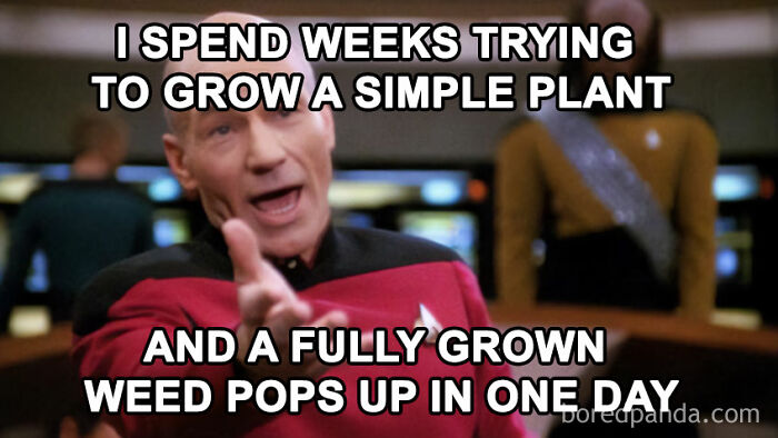 Man in a red and black uniform looking frustrated about growing a plant, humorous meme text included.