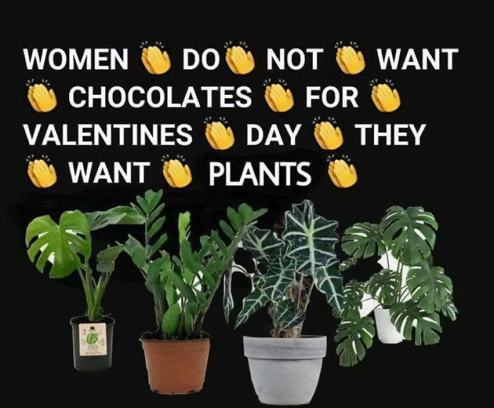 Text meme about preferring plants over chocolates for Valentine's Day.