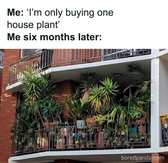 Gardening-Humour-Memes