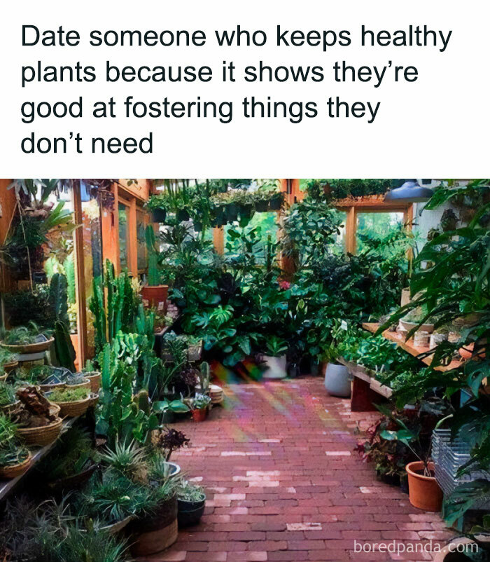 Indoor garden filled with various healthy plants, highlighting humorous meme text about fostering unneeded things.