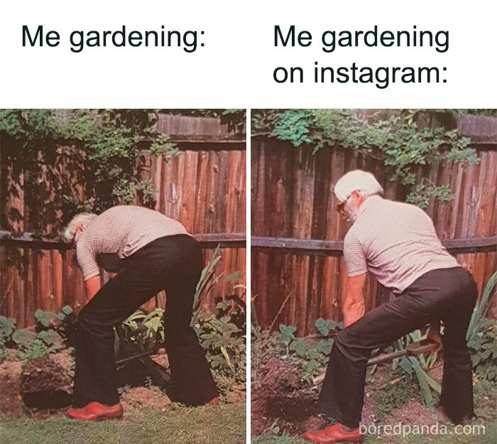 Gardening memes: reality vs Instagram, humorous take on plant care.