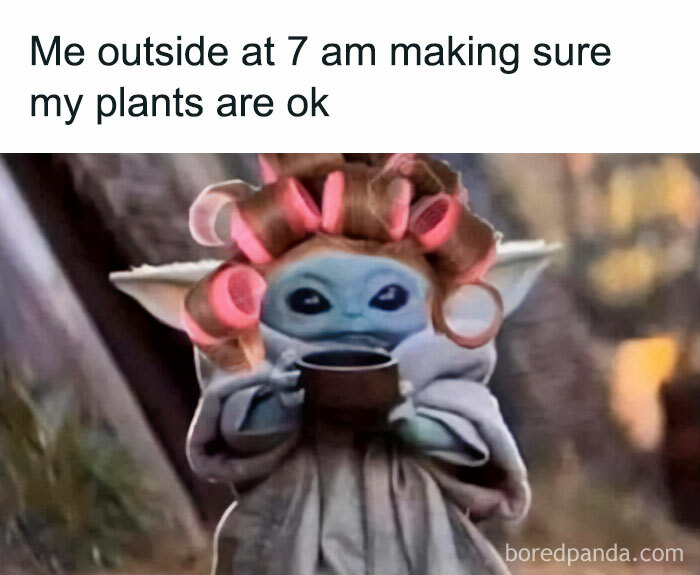 Cute character in hair rollers, holding a mug, with humorous text about plants.