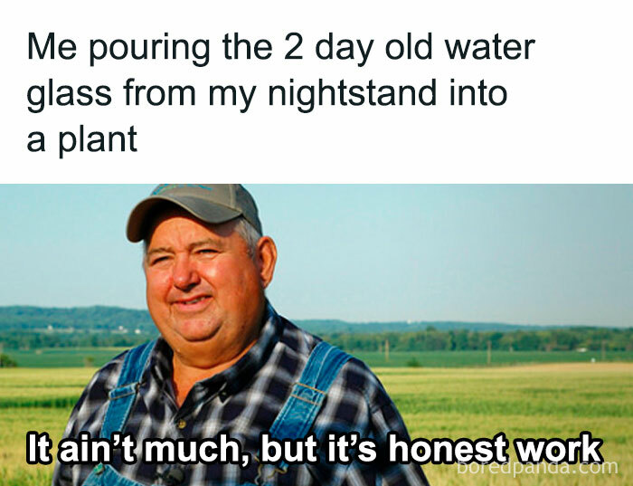 Farmer meme about watering plants with old glass of water, featuring text "It ain't much, but it's honest work."