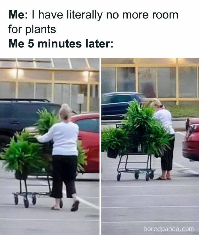 Woman pushing a shopping cart full of plants in a parking lot, humorously illustrating a love for plants.