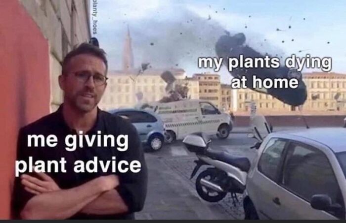 Gardening-Humour-Memes