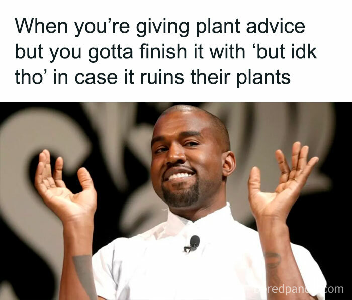 Meme about giving plant advice with uncertainty, featuring a person shrugging humorously.