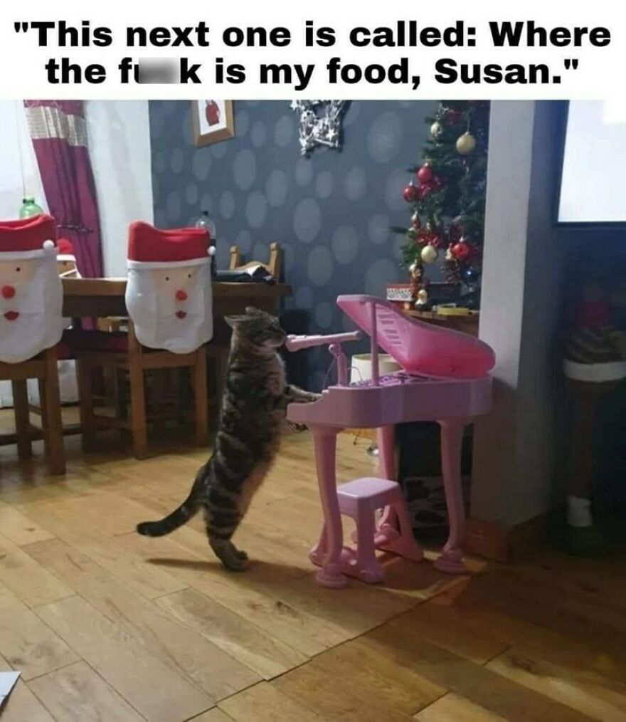 Things To Laugh At When You Are Trying To Be Serious In A Lecture Or Smthng