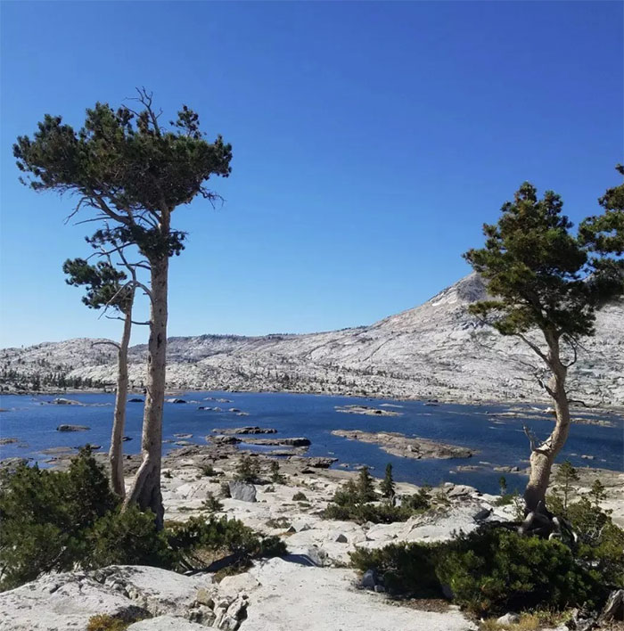 Photo of Tahoe Rim Trail
