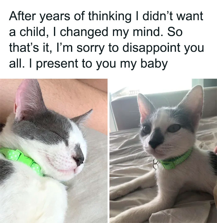 After Years Of Thinking I Didn't Want A Child, I Changed My Mind. So That's It, I'm Sorry To Disappoint You All. I Present To You My Baby