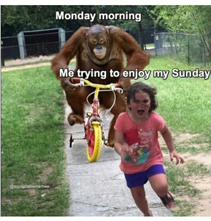 Hilarious-Relatable-Work-Memes-Pics