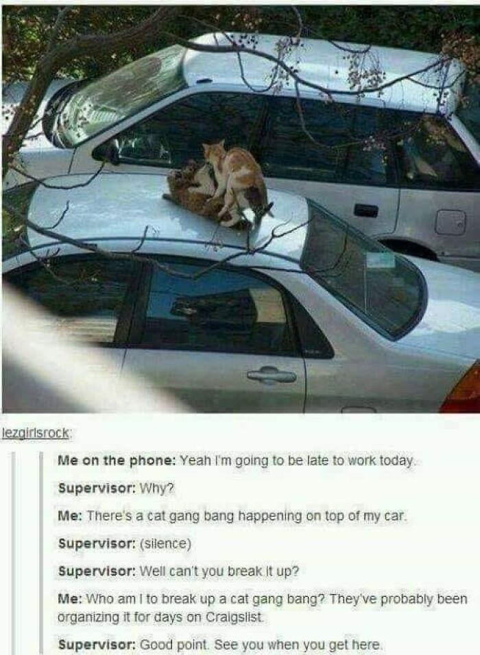 Hilarious-Relatable-Work-Memes-Pics