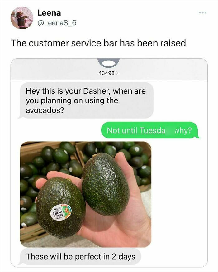 Hilarious-Sarcasm-Only-Memes