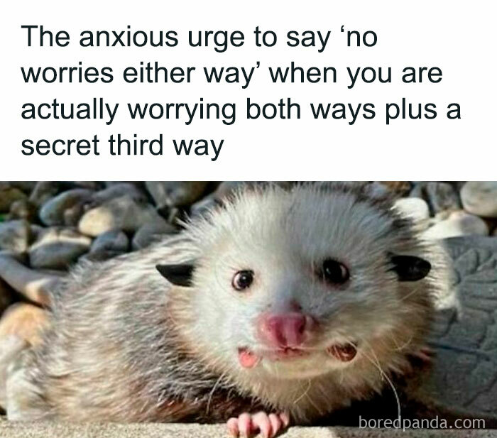 Hilarious-Sarcasm-Only-Memes