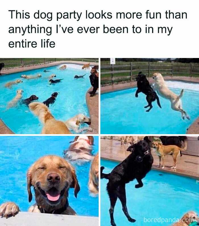 Hilarious-Sarcasm-Only-Memes