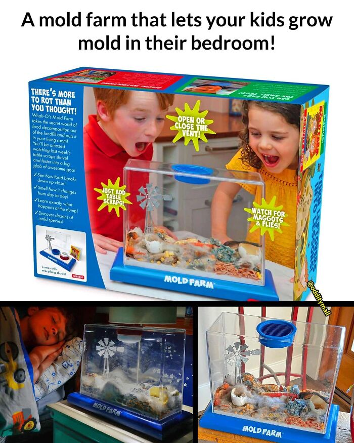 Hilarious-Unusual-Products-Odditymall