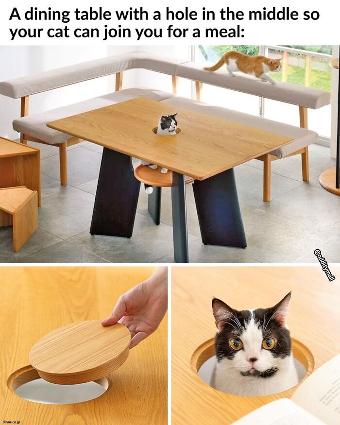 Hilarious-Unusual-Products-Odditymall