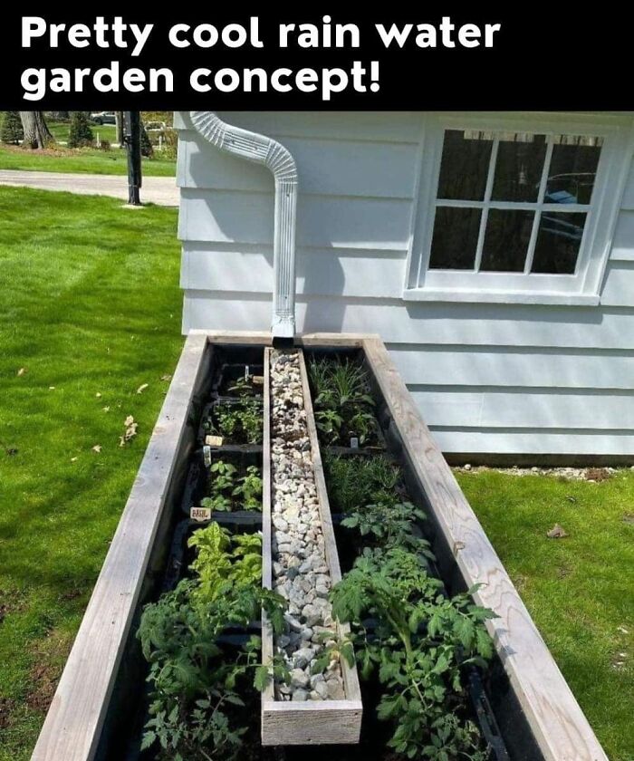 Hilarious-Unusual-Products-Odditymall