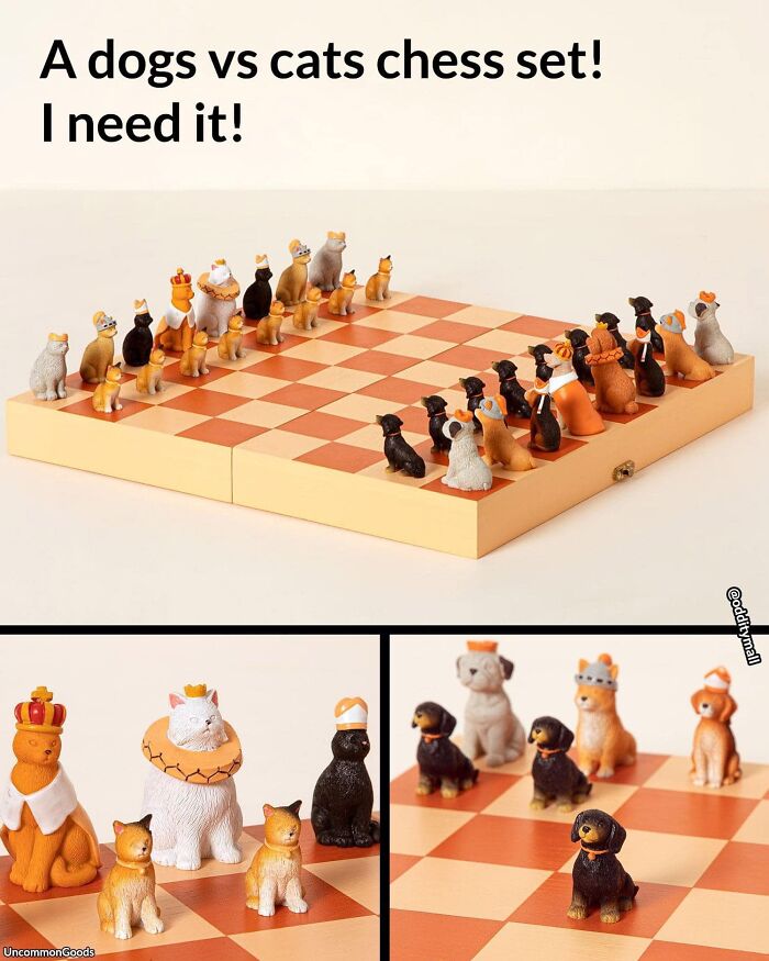 Hilarious-Unusual-Products-Odditymall