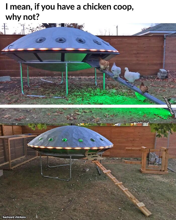 Hilarious-Unusual-Products-Odditymall