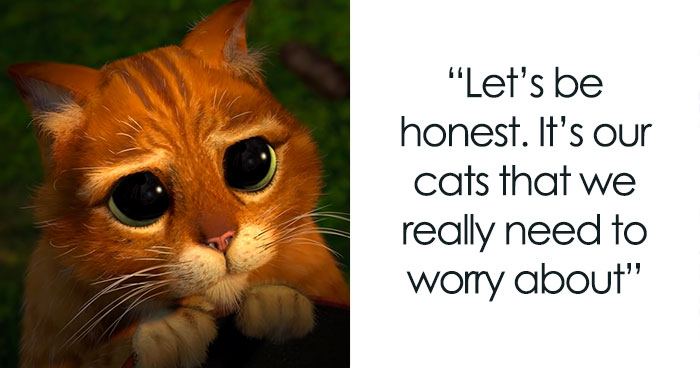 58 Scenarios That We Might Encounter If Dogs Could Talk