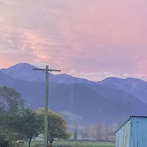 sophiegenet_1 avatar