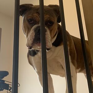 isabellephilipstudent avatar