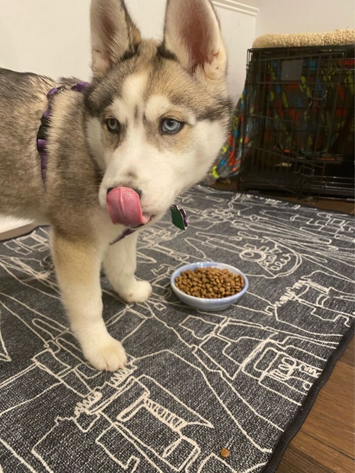 Almost Ready, One Sec