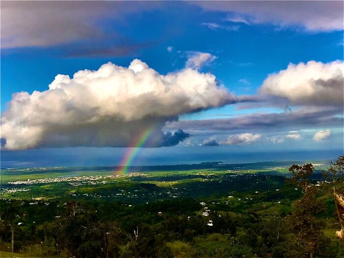 Rainbow Alley, Puerto Rico