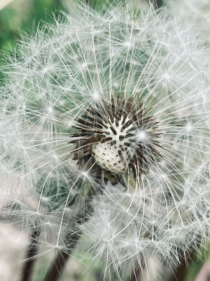 Are My Photographs Even Good?