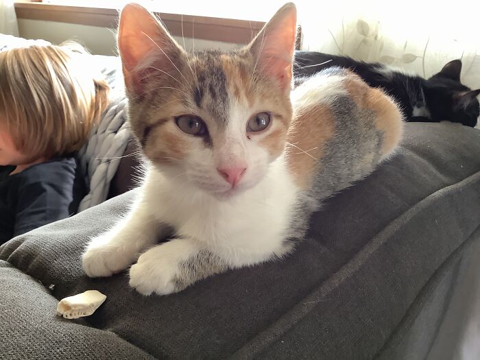 This Is My Baby Girl Peebles!