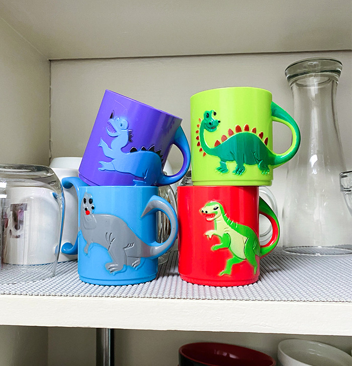 Le pedí a mi marido que comprara vasos de plástico baratos para no romperlos. Esto es lo que compró. Y no, no tenemos hijos